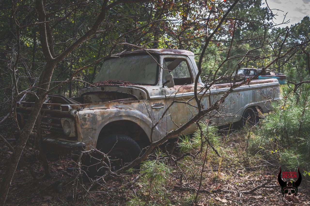 A rusted old pickup truck sits in the woods, various parts have been removed from the truck and plants are growing into it