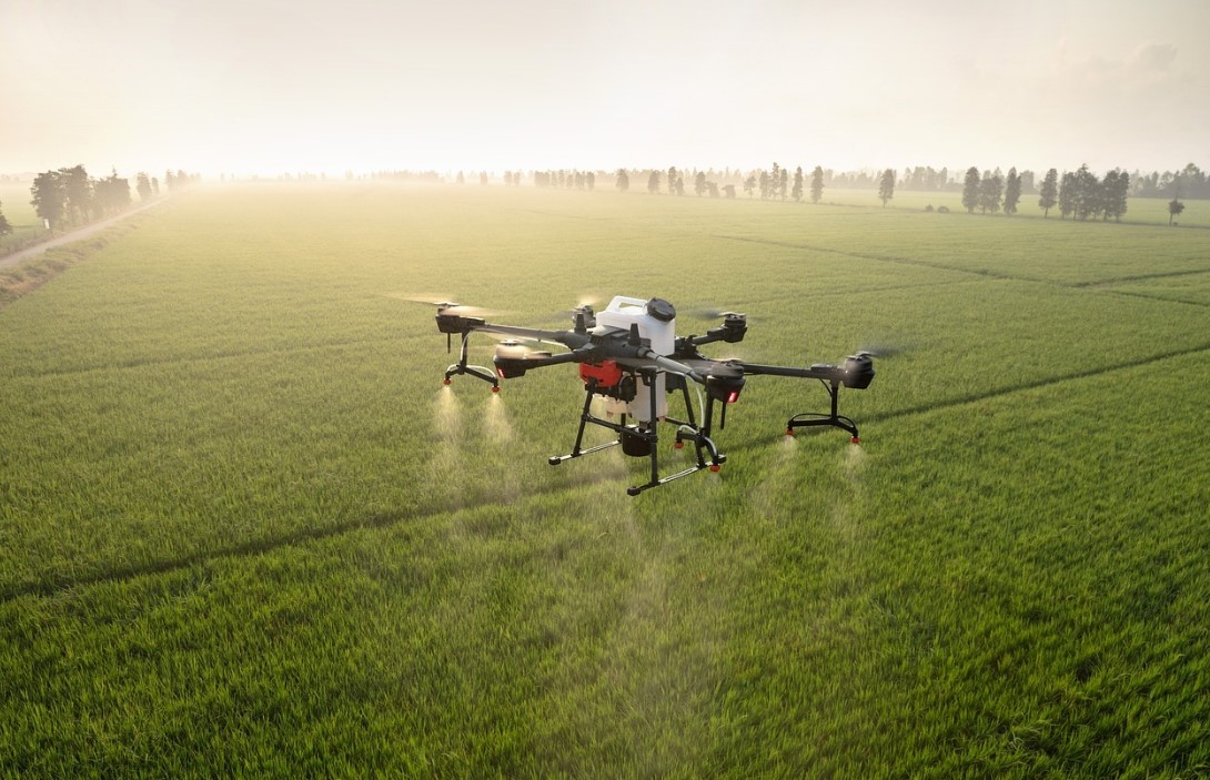 A DJI Agras T50 spraying crops 