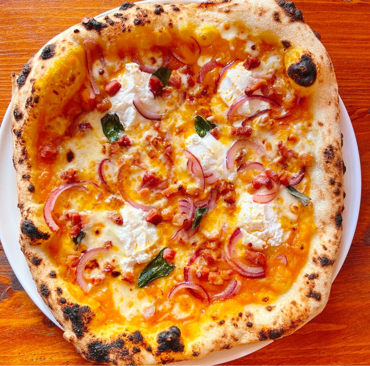 A cooked pizza pictured from above on a white plate