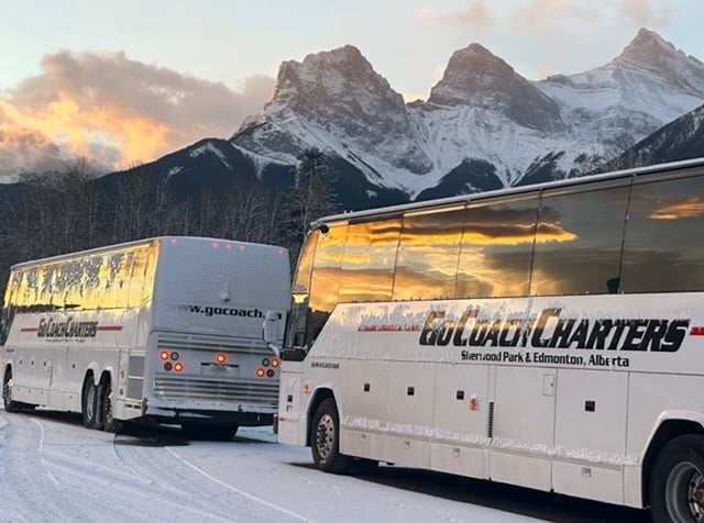 white charter buses