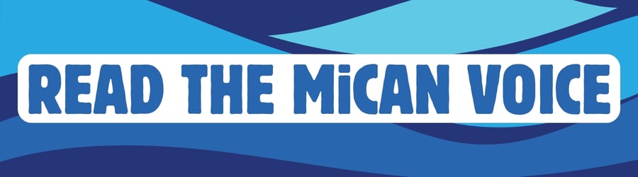 Read the MiCAN Voice