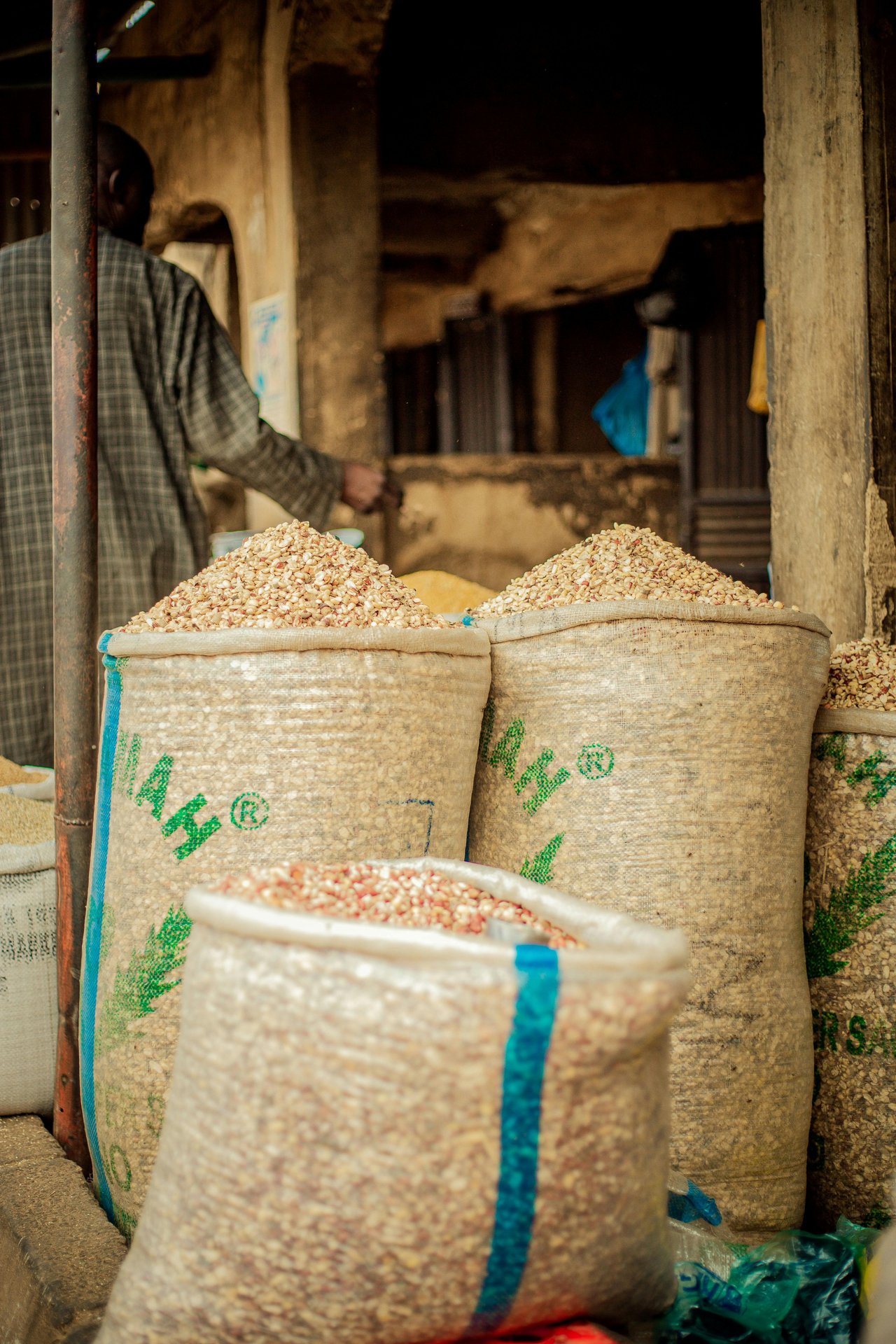 We help farmers and agribusinesses access lucrative export markets, enhancing their revenue potential and expanding their reach.