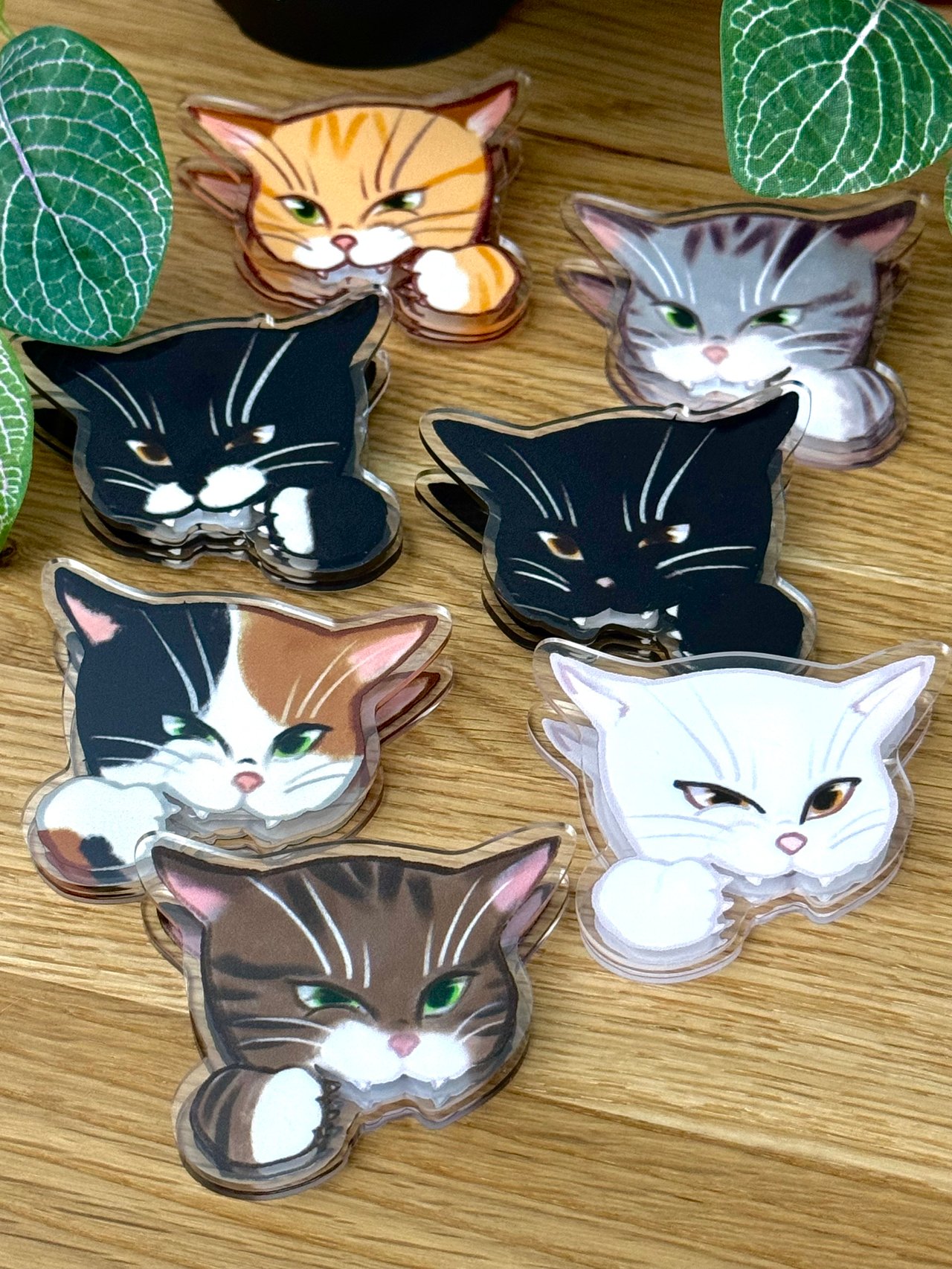 An orange tabby, grey tabby, black tuxedo, black, calico, white, and brown tabby clip on a desk surrounded by greenery.