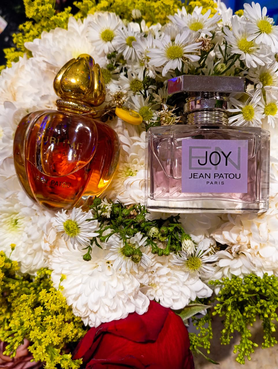 Original Jean Patou Joy and Sublime perfumes with floral background, luxury French fragrances in Port Said Egypt — Palais des Parfums.