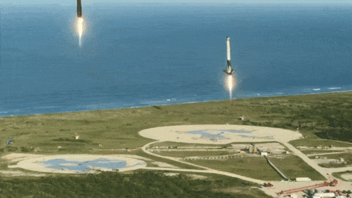 IBM Data Science Professional Certificate badge