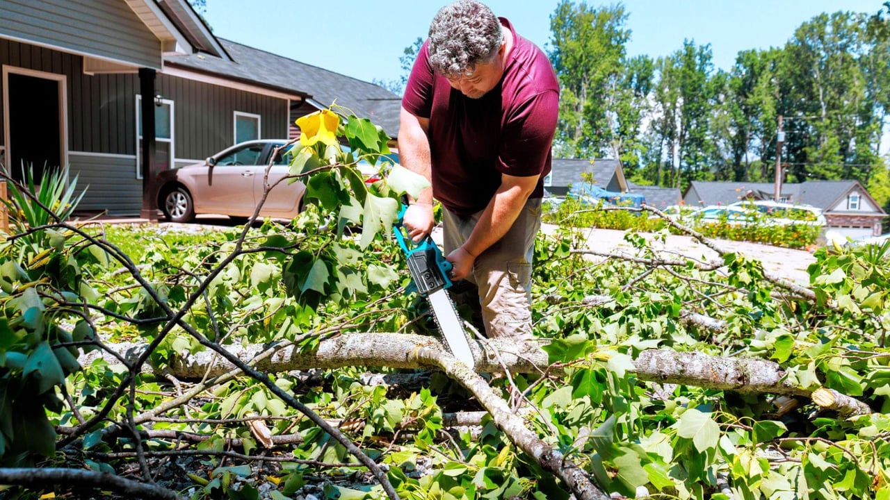 storm damage tree service Billings