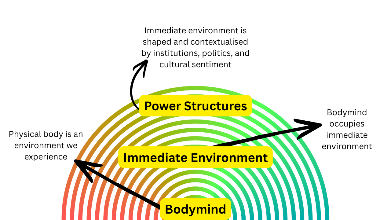 Concentic circles showing the bodymin, nested in the immediate environment, nested in the power structures