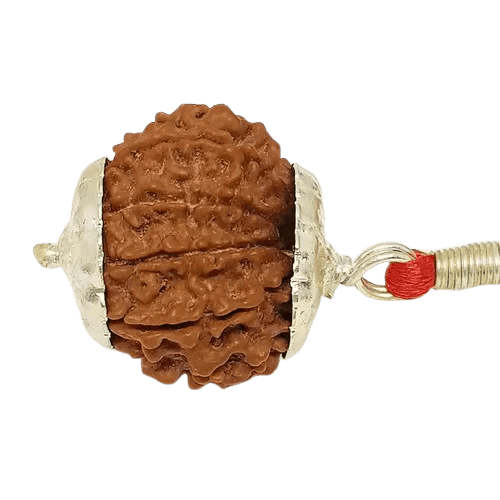 A 1 mukhi RudrAksha