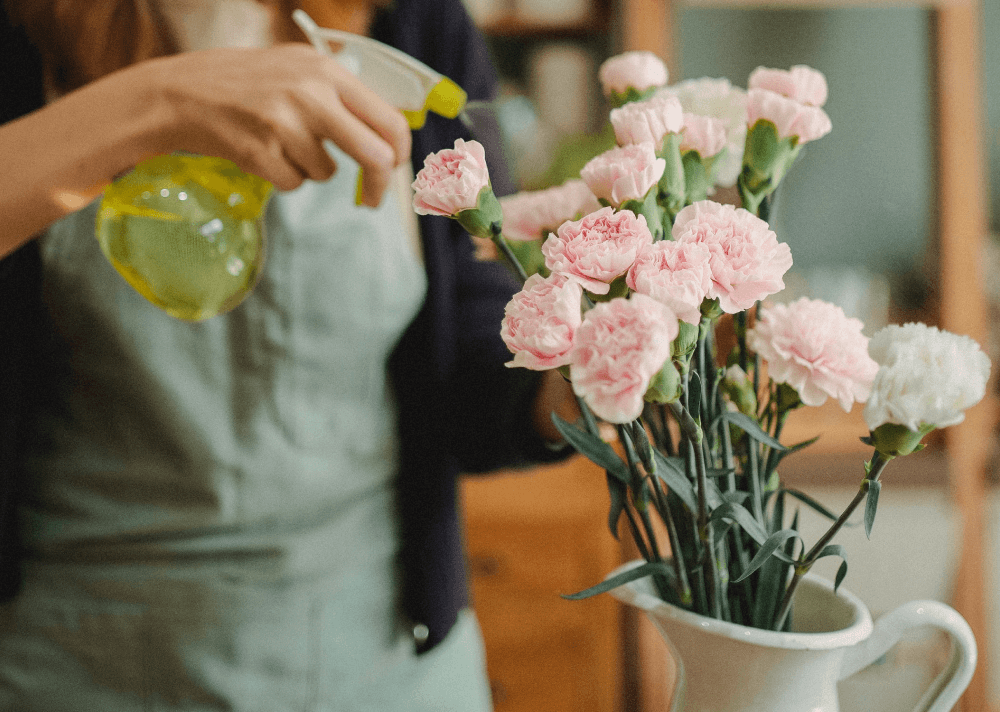 A person, unfocused, spritzing pink flowers in a vase with water from a yellow spray bottle