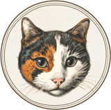 Calico Collage