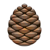 animated pinecone