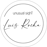 unusualsight luisrochamusician photography aveirophoto