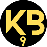 kepalabergetar9 logo