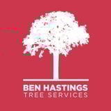 Ben Hastings Tree Service