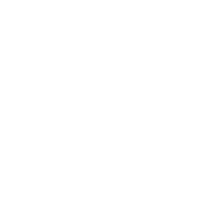 The Daily Wine Logo
