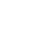 refugee artisan initiative logo