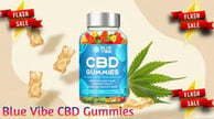 Blue Vibe CBD Gummies