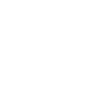 United Land Services commercial landscaping and property maintenance experts in South Florida, specializing in landscape design, installation, and ongoing grounds management for commercial properties.