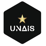 UNAIS United Network For AI Synergy