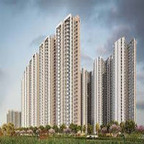 Prestige Evergreen