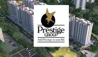 Prestige Evergreen