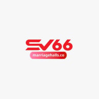 SV66