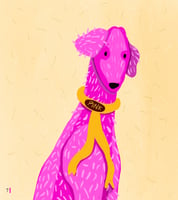 A dog called Pink is trying to fit in a tiny green purse
