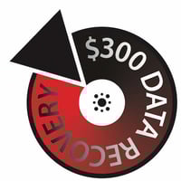 $300 Data Recovery