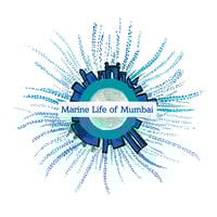 Marine Life of Mumbai