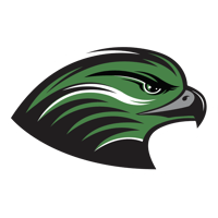 Falcon Logo