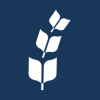 Logo image