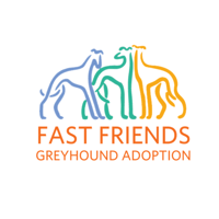 Fast Friends Greyhound Adoption