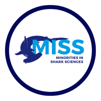 MISS Logo, Minorities in Shark Sciences, dark blue hammerhead shark wrapped around the letters MISS