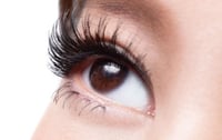 the first and best professional eyelashes in Arlington TX