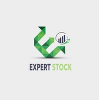 Expert Stock