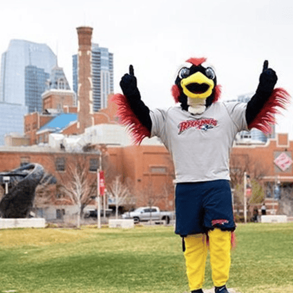 MSU Denver’s mascot Rowdy the Roadrunner stands on a grassy campus lawn with both arms raised, giving a thumbs-up. The Denver skyline and campus buildings are visible in the background