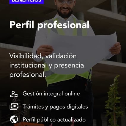Perfil profesional