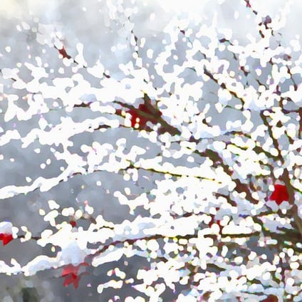 Snow on the Maple Tree Greeting Card by Shelli Fitzpatrick 