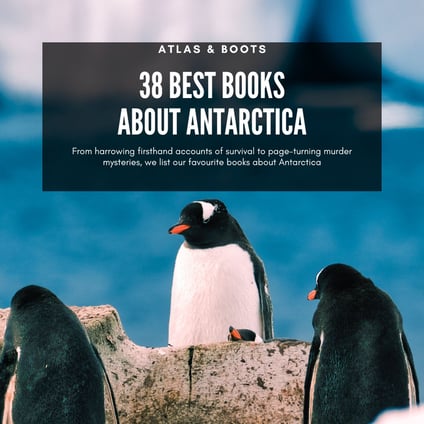 penguins in antarctica