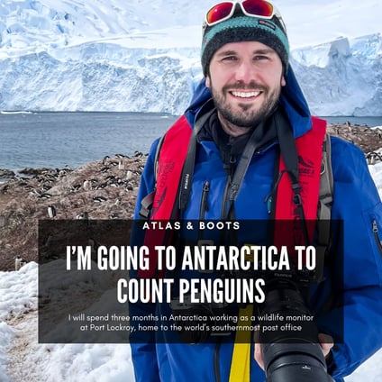 Peter and penguins