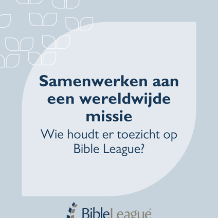 Toezicht
