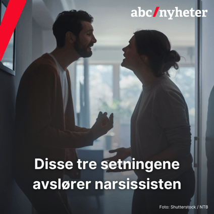 Narsissisten