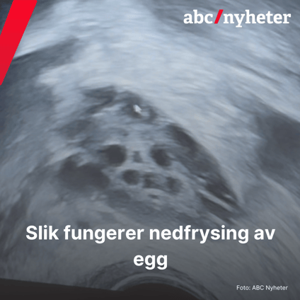 Fertilitet 
