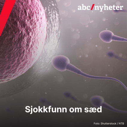 Sjokkfunn om sæd