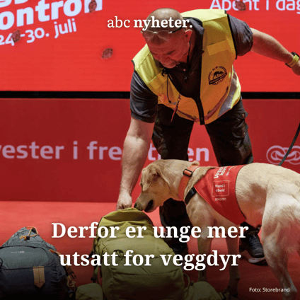 Veggdyr