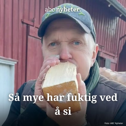 Slik sjekker du om veden er tørr