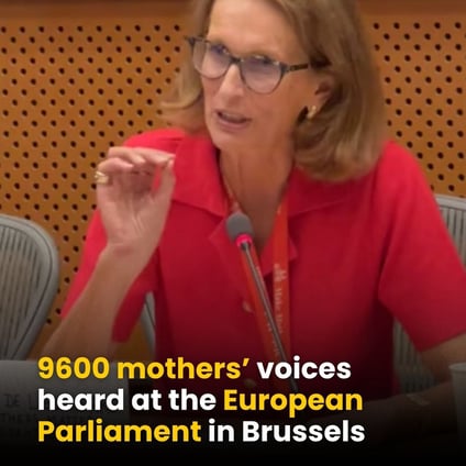 What MMM asked the European Parliament