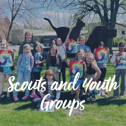https://form.jotform.com/HSWM/scoutsandprivateyouthgroups