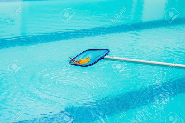 Poolwise Living is an online pool shop situated in Perth that delivers swimming pool and spa treatment chemicals, pumps, filters, and other pool equipment to your door. We are a major Australian pool chemical supplier, so buying directly from us saves you money and ensures the quality and safety of the products you are purchasing. Our knowledgeable employees are dedicated to offering the greatest customer service, as well as honest, sincere, and obligation-free counsel to all of our clients. We recognize that you may not always have a clear knowledge of your pool, spa, pump, or equipment, therefore we take the time to explain everything to you in plain Words. All of our items are purchased in bulk so that we can pass the savings on to our customers. Our goal is to offer you the best genuine price on top quality pool and spa supplies, such as pool pumps, spa pumps, sand filters, cartridge filters, salt chlorinators, chemical feeding/dosing equipment, heating equipment, pool covers, and all other pool equipment and accessories to make your outdoor entertaining area extra special. Our buying power in bulk guarantees that we have the best pool supplies prices in Perth, allowing us to offer you with the correct product for your needs at a very cheap price.  Extensive range with fantastic prices We also have a large selection of Variable Speed Pumps, Astral pool pumps, Davey pool pumps, Reltech pool pumps, and Onga pool pumps in store for a number of applications. Because of the volume of stock we keep in our local warehouse and our buying power in bulk, we can always find the perfect product for your needs and ship your order the same day. Call or contact Poolwise Living today for the best prices on all of your premium pool, spa, and pump equipment. 1.	Astral Pool Pumps 	Astral CTX280 The AstralPool CTX pump was created to satisfy the demands and pressures of your pool and spa equipment. The CTX is made of high-quality materials and components and is designed to increase efficiency while lowering noise levels. The CTX will deliver great performance and dependability for in-floor cleaning systems, spa jets, and other demanding applications. HIGH PRESSURE, HIGH PERFORMANCE The CTX Series pump was created to suit your requirements by providing much higher head pressure and overall performance than other pumps. TIME AND MONEY ARE SAVED	 While addressing your equipment's needs, the CTX also transfers more water while using less electricity and working fewer hours each day. This results to decreased electricity bills. The CTX-Series pump will save you both time and money by requiring less regular cleaning.  	Astral Hurlcon E230 1HP E-Series The Astral E230 Pool Pump is skillfully constructed and one of the best pool supplies from high-quality, long-lasting components. For all pools and spas with a capacity up to 45,000L, the E-Series 230 pump will deliver the outstanding performance and dependability that you'd expect from a pool pump. The E-Series pool and spa pump will deliver a high range flow rate while remaining silent during operation, doing the heavy work in the background so you don't have to, but yet consuming less power, saving you money on overall power costs. The pump was skillfully constructed with quality, dependability, and longevity in mind. The use of high-quality components in the pumps will result in a longer pump life. The E-series pump will save you both time and money by requiring less frequent cleaning. The E230 pool and spa pump comes with a 3-year warranty against faults in materials and workmanship, making it an excellent choice for any pool or spa owner.  2.	Davey pool pumps 	Davey StarFlo DSF1100 For a variety of reasons, the Davey StarFlo SF universal pool pump is a suitable choice, including: Reliability: The pump is incredibly adaptable and offers a universal, multi-fit option. It's UV-resistant and corrosion-resistant, and it's suitable for a wide range of applications. To assist protect against the weather, this heavy-duty pump has a completely enclosed motor. It even features a built-in thermal overload that self-resets to safeguard the motor from overheating. High Quality: The corrosion-resistant Noryl impeller extends the pump's life and improves its performance. High-Efficiency: The Davey StarFlo SF Pool Pump has a lot of power and the best flow rates for water turnover makes it a best pool supplies. It comes with drain plugs for convenient water drainage and is completely serviced for easy maintenance. This pump is suitable for pools up to 100,000 litres and comes with a 3m power cable with a 10 amp Australian three-pin connection. High-strength and long-lasting: The pump motor shaft is made of 316 stainless steel, and the silicon carbide Viton mechanical seal extends the life of the pump. It's made to last and won't let you down. Ideal for a variety of swimming pool applications, including: •	In-ground pools •	Above ground pools •	Plunge pools and large swim spas •	Pool solar powered heating  •	Aquaculture Warranty: Warranty Period – 3 Years  	Davey StarFlo DSF900 Reliable: Pump that is universal, multi-fit, and adaptable and may be used in a variety of applications. For a long and dependable working life, it's made of corrosion-resistant and UV-resistant materials. For long running life, a heavy-duty, completely enclosed motor protects against the weather. The motor is protected from overheating by a built-in, self-resetting thermal overload. High Quality: Corrosion protection for longer-lasting, trouble-free performance, use a Noryl impeller. You can find us by searching “best pool supplies” on search engine or google. Long-term use: Silicon carbide with high performance Mechanical seal made of Viton. High Strength: 316 stainless steel motor shaft High-performance: 	 •	Pumping that delivers optimal flow rates for quick pool water turnover. •	Fully serviceable, making maintenance and repair a breeze. •	Drain plugs provide for easy water drainage and maintenance. •	10 amp, 3m power cord all variants come with an Australian three-pin plug. 	Davey Typhoon C100M 1.0HP The Davey Typhoon Swimming Pool Pumps are low-cost, high-performance, and come in a variety of sizes to fit any purpose. The Davey Typhoon series is known for its high flow rates and head pressure. Characteristics: •	Durability and extended life are achieved by the use of corrosion-resistant, UV-stabilized materials. •	For trouble-free operation and air handling, use a self-priming pump. •	In the case of low voltage or a jammed pump, the built-in thermal overload protection safeguards the motor. •	The combination of high flow and excellent performance ensures optimal water circulation. •	Pump shaft made of stainless steel that is suitable for salt water pools. •	For corrosion prevention, a reinforced pump base keeps the motor high and dry. •	The large leaf basket easily handles big leaves and detritus. •	The contents of the large glass leaf basket lid may be easily inspected. •	Easy installation using barrel union connectors. •	Designed in Australia •	3 Years Warranty  3.	Reltech pool pumps 	Reltech EcoFlo V3 Pro 1.25HP This energy efficient pool pump is the way to go if you want to save your pool running expenses by up to 70% while also helping the environment by lowering carbon emissions. You can order it from best pool supplies store in Perth. Features: •	Save up to 70% on the expense of running a regular pool pump. •	Operation is ultra-quiet, and efficiency is at an all-time high. •	Adjustable three-speed control to meet your pool pumping needs. •	To supply the flow when it is needed, high flow efficiency is essential. •	When properly calibrated, an energy rating of up to 8 stars is possible. •	Astral Viron P280, Viron P320, Astral CTX, Hurlcon CX, Hurlcon TX, and Astral E-Series pool pumps may be retrofitted using this kit. •	Electricity savings  	Reltech PR100 Series IMPROVEMENTS AND ADVANCEMENTS  Reltech's engineers collaborated extensively to create a pump that is more resistant to the harsh Australian climate. Our pump's dependability, efficiency, and general performance have all increased as a result of this. DURABLE, RELIABLE, SAFE, AND LONG-LASTING •	Pump body is composed of a high quality engineering grade thermoplastic material that is corrosion resistant and has a thick walled, one-piece construction. •	The pump is also engineered to survive in all-weather situations, thanks to a glass reinforcing and UV additives. •	Long bearing life is ensured with a powerful and dependable motor certified for continuous use. •	Thermal overload protection is included into the motor to safeguard it from heating. •	Stainless steel pump shafts, lapping true carbon faces, ceramic seals, and stainless steel assembly nuts and bolts are just a few of the high-quality components utilized to assure long-term durability. •	The elevated motor stand, which is attached to the main body, avoids warping under high water pressure, provides balanced support for the motor and pump, lowers noise and vibration, and keeps moisture out of the motor. ENERGY EFFICIENT, POWERFUL, AND QUIET The diffuser and balanced impeller system's design features provide low noise operation while providing optimum priming. It also has a robust water flow and filtration system with high pressure and low operating expenses.  	Reltech PR150 Series IMPROVEMENTS AND ADVANCEMENTS  Reltech's engineers collaborated extensively to create a pump that is more resistant to the harsh Australian climate. Our pump's dependability, efficiency, and general performance have all increased as a result of this. USER-FRIENDLY & FUNCTIONAL •	Extra-large, sturdy strainer basket avoids clogging feature makes it best pool supplies in Perth. •	During the surgery, there was a breaking, and debris had to be removed. •	Cleaning is required less often. •	A strainer basket that is positioned correctly to eliminate the inlet has been closed. •	Easy-to-remove transparent inspection cover for quick and easy examination Strainers are simple to maintain and clean on a regular basis basket. •	Because clamping is used, there is no stress on the sealing O-rings Instead of twisting pressure, pressure is utilized. •	As a result, the life of your replacement components will be extended. •	Inlet and exit barrel unions that self-align for both providing for rapid and easy suction and discharge Installation and removal are simple. •	Barrel unions are ideal for both 40mm and 50mm PVC pipe connections and include self-aligning inlet and outlet barrel unions for both suction and discharge ports, allowing for quick and easy installation and removal. •	A limited 3-year guarantee against defects in materials and workmanship is included with the Premium PR Series. 4.	Onga Pool Pumps 	Onga ECO 300 •	There are three speed options that may be programmed (variable speed) •	Axial flux permanent magnet motor with advanced technology •	8 Stars Energy Efficiency •	Reduce your annual power costs by up to $1000 considering a best pool supplies. •	Carbon emissions are reduced. •	The procedure is really silent. •	Warranty of up to 3 years  	Onga LTP 1100 Self-Aligning Barrel Unions Pipework connection is a breeze using Onga's patented 5 degree self-aligning barrel unions. Approvals for electrical work The pump design has an elevated position to keep moisture away from the motor. Corrosion resistant endshield Endshield is electrophoretic coated cast iron for increased corrosion protection and pump longevity. With a see-through cover, a large hair and lint pot can be seen. Large hair and lint pot that is easy to clean and has a glass top so you can see if it is full at a glance. O-ring for lint pot with low friction The lint pot's lid has a low friction Teflon impregnated self-lubricating O-ring, so you only have to tighten it by hand. There are no tools required, and because the lid is simply tightened by hand, removing it is a simple operation. Warranty 2 Year Manufacturer's Warranty 	Onga LTP 750 Barrel Unions That Align By Themselves Pipework connection is a breeze using Onga's patented 5 degree self-aligning barrel unions. Approvals for electrical work The pump design has an elevated position to keep moisture away from the motor. Endshield that resists corrosion Endshield is electrophoretic coated cast iron for increased corrosion protection and pump longevity. You can purchase it by visiting our shop or searching best pool supplies from search engine. With a see-through cover, a large hair and lint pot can be seen Large hair and lint pot that is easy to clean and has a glass top so you can see if it is full at a glance. O-ring for lint pot with low friction The lint pot's lid has a low friction Teflon impregnated self-lubricating O-ring, so you only have to tighten it by hand. There are no tools required, and because the lid is simply tightened by hand, removing it is a simple operation. Warranty 2 Year Manufacturer's Warranty  Visit oue site: https://poolwiseliving.com.au/